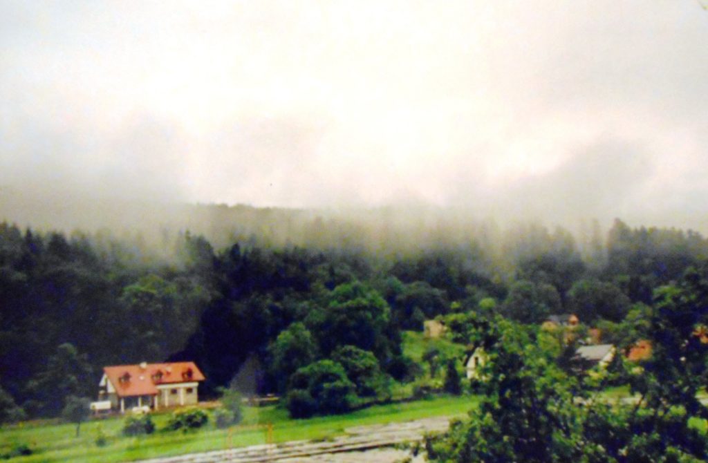 wyroznienie_1