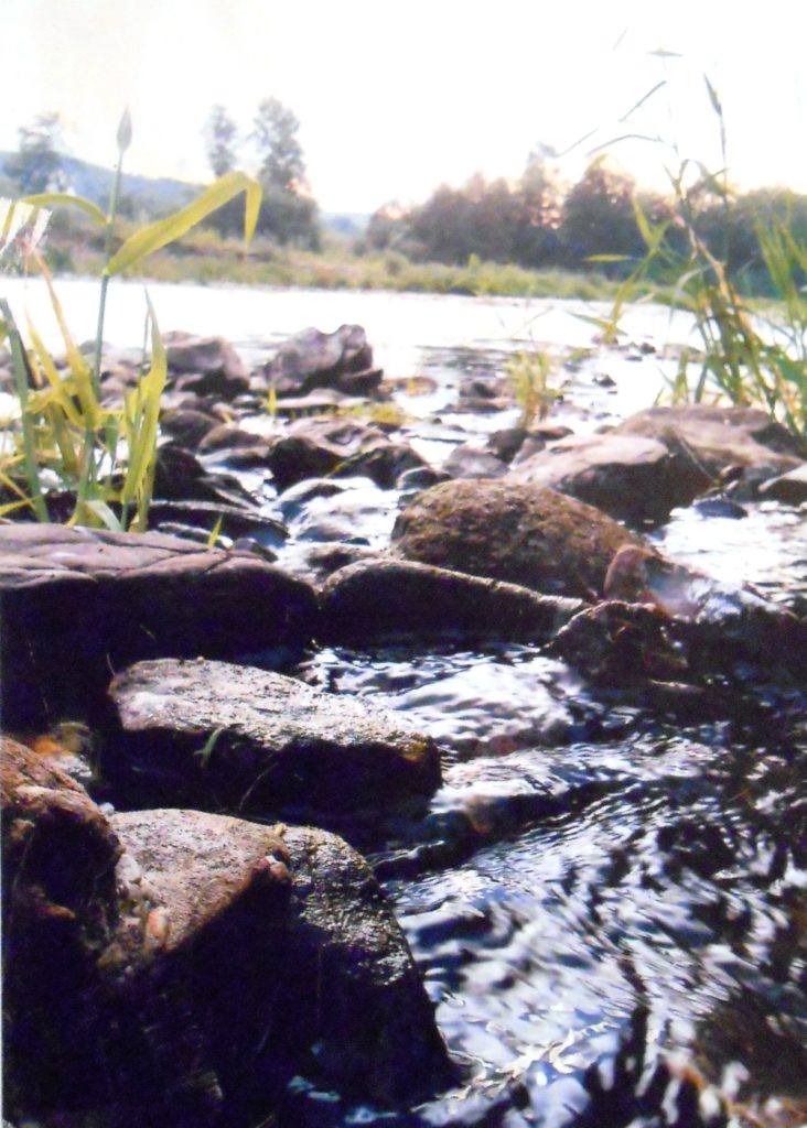 wyroznienie_3